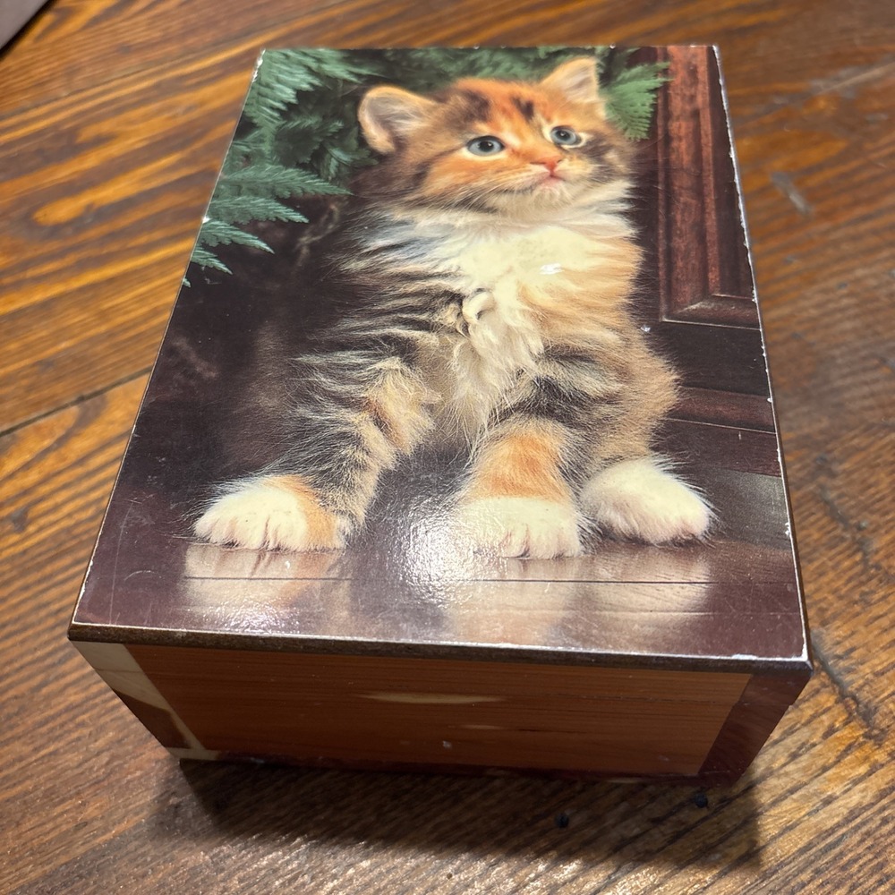 Vintage Kitten Cat Cedar Wood Box Travel History Michigan Adventures